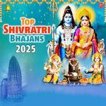 Top Shivratri Bhajans 2025 - Kumar Vishu Song Download